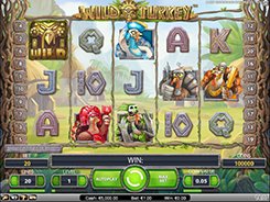 Wild Turkey slots