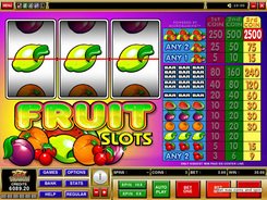 Fruit Slots slots